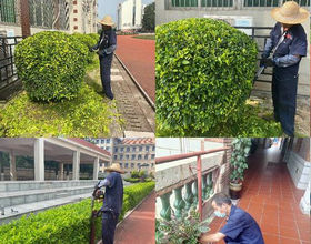 花更好戶(hù)外綠化管護(hù)